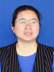 ylzz总站线路检测