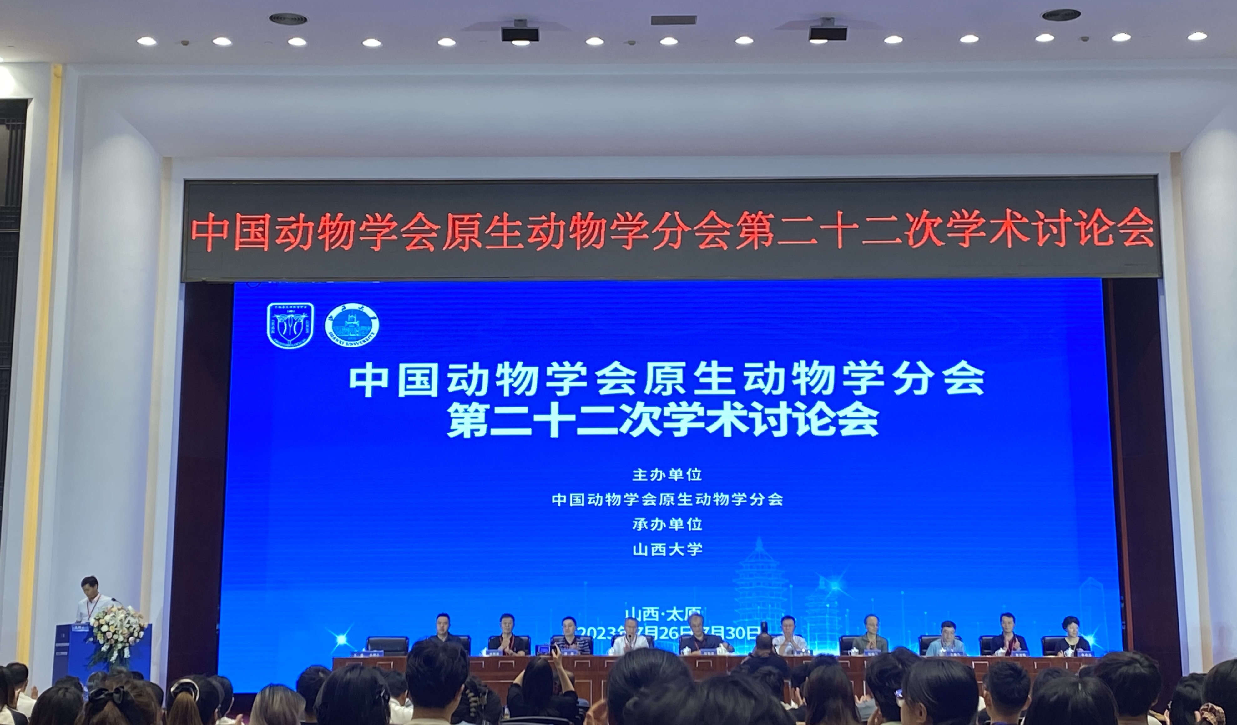 ylzz总站线路检测