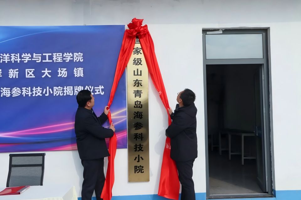 ylzz总站线路检测