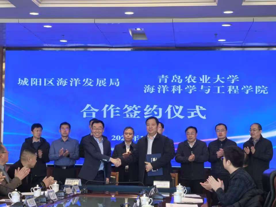 ylzz总站线路检测