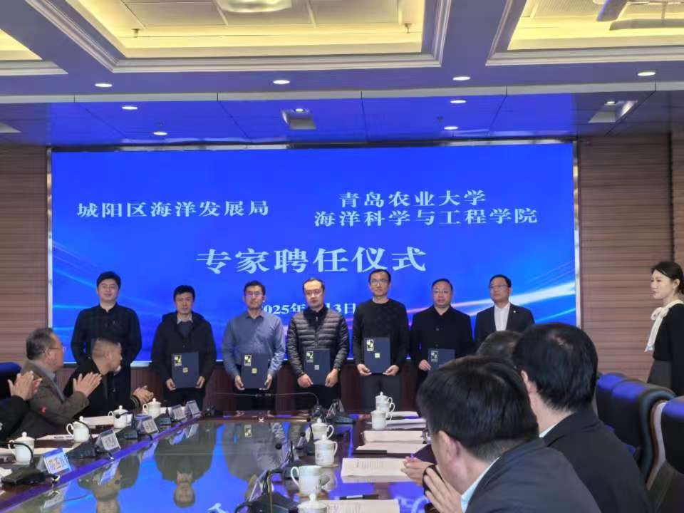 ylzz总站线路检测
