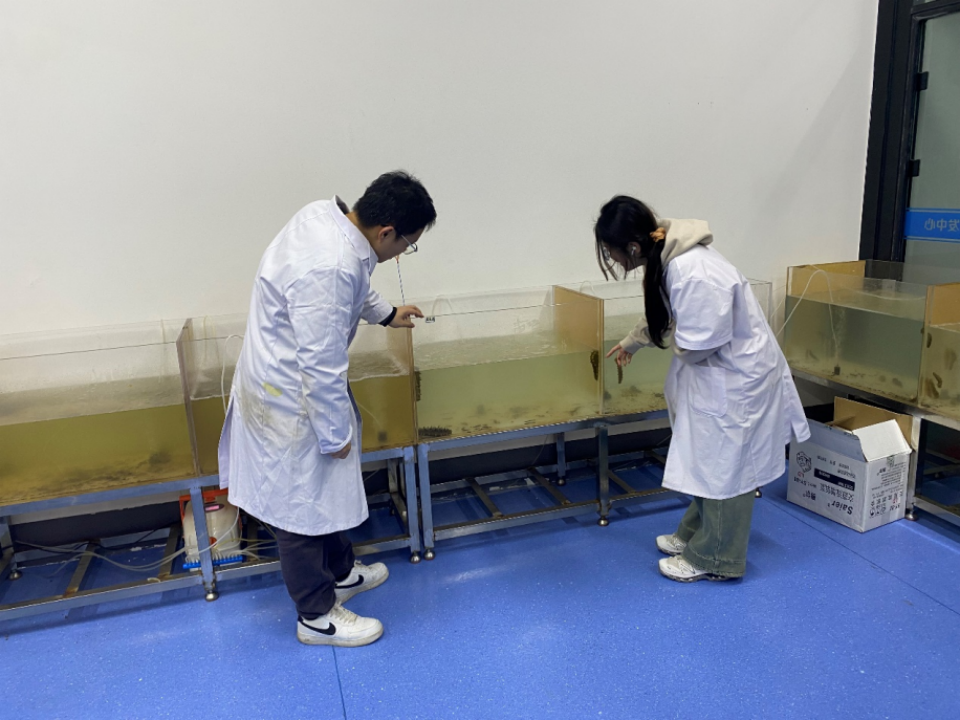 ylzz总站线路检测