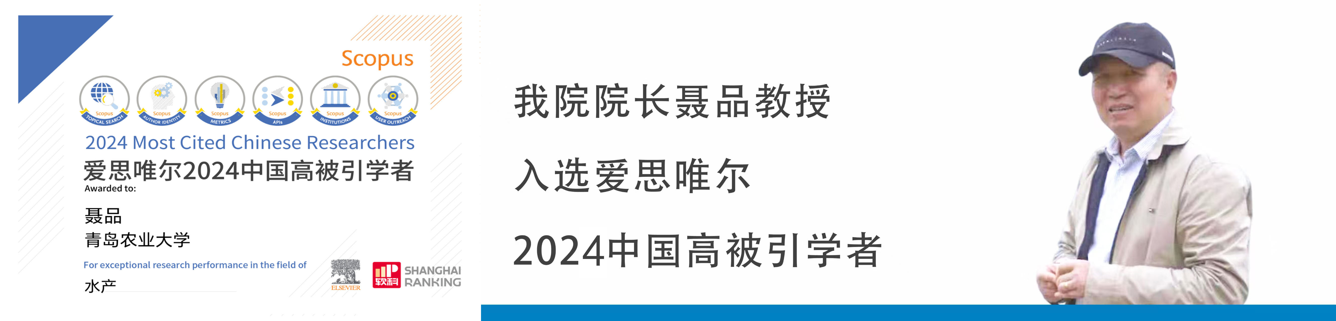 ylzz总站线路检测