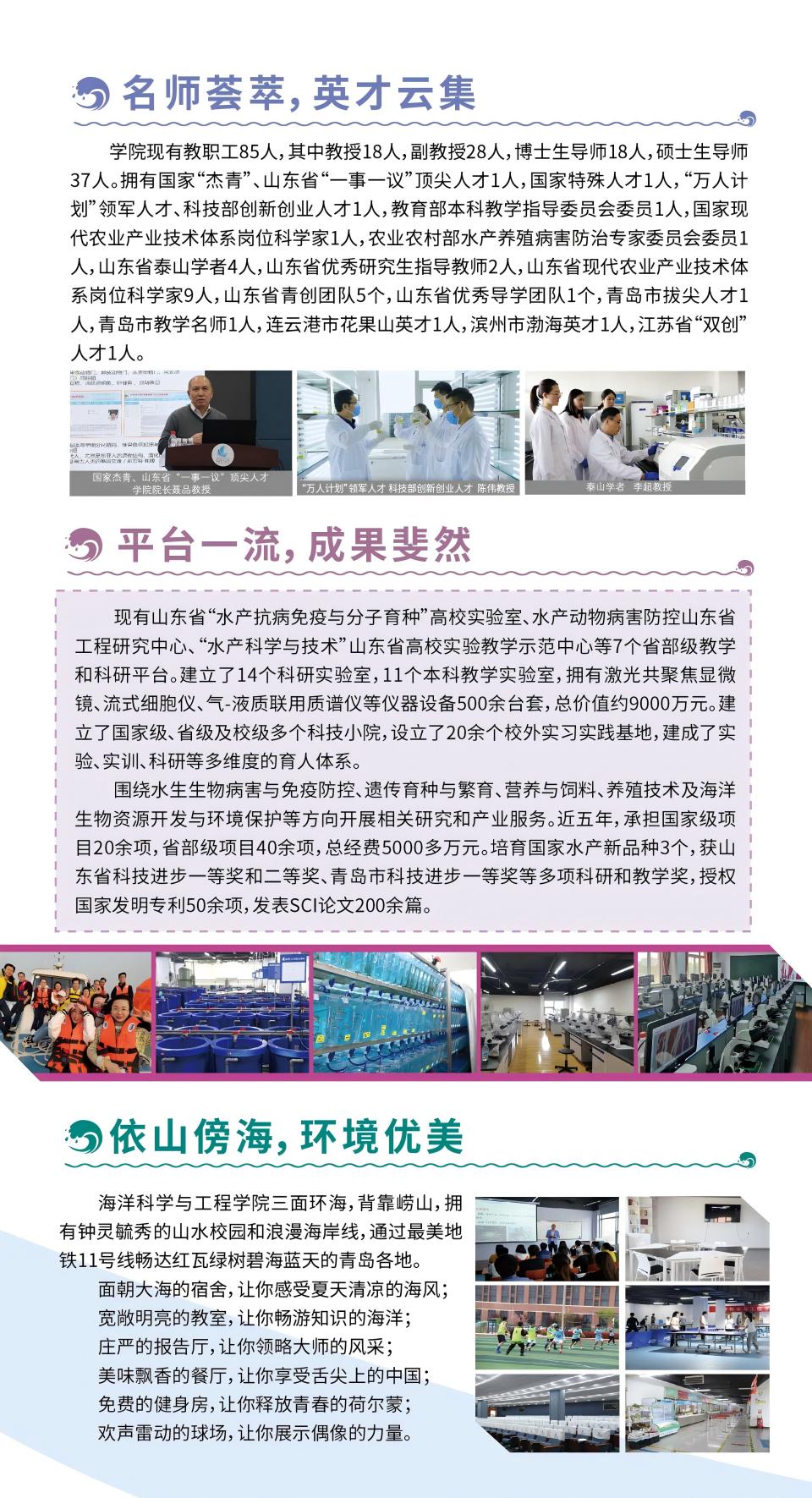 ylzz总站线路检测