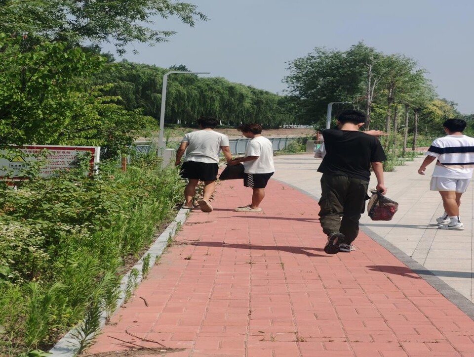 ylzz总站线路检测