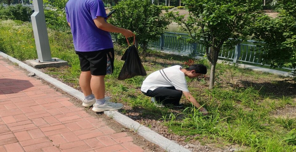 ylzz总站线路检测