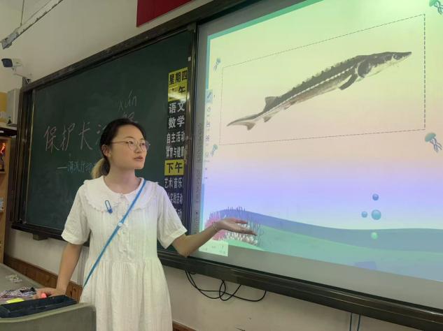 ylzz总站线路检测