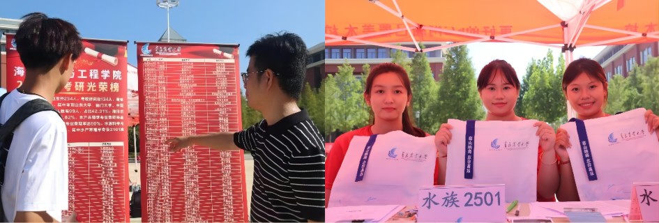 ylzz总站线路检测