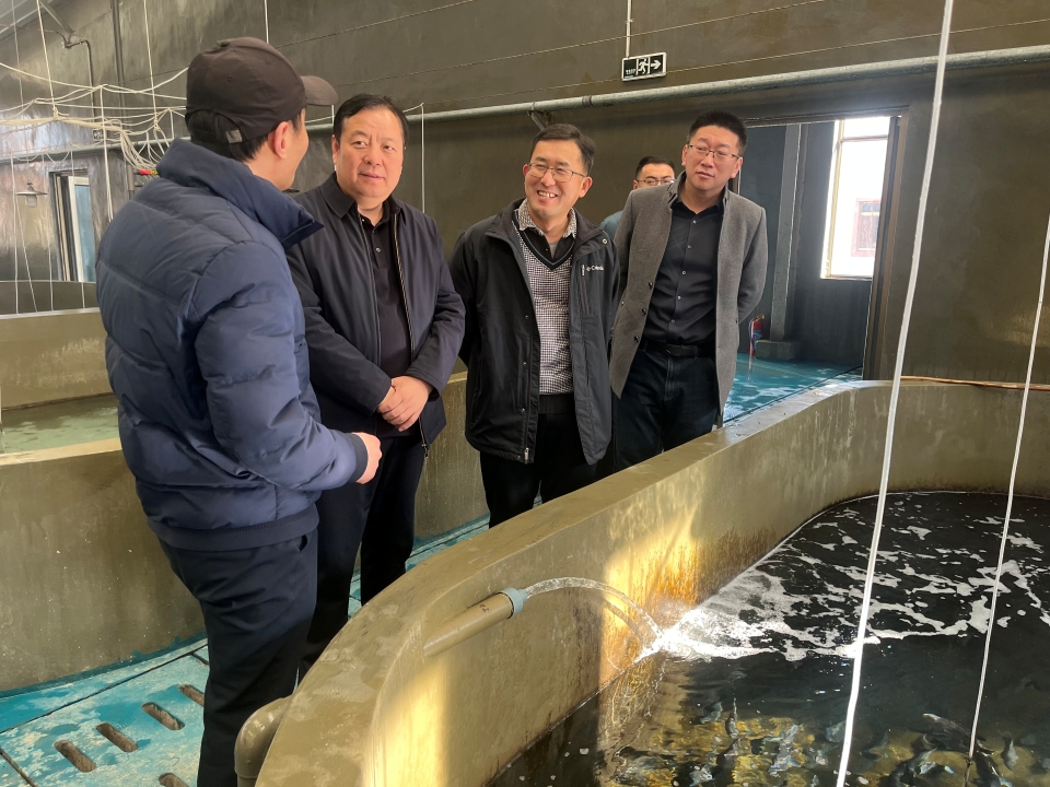 ylzz总站线路检测