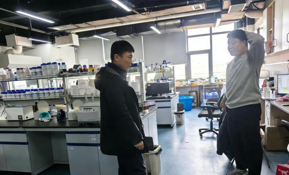 ylzz总站线路检测