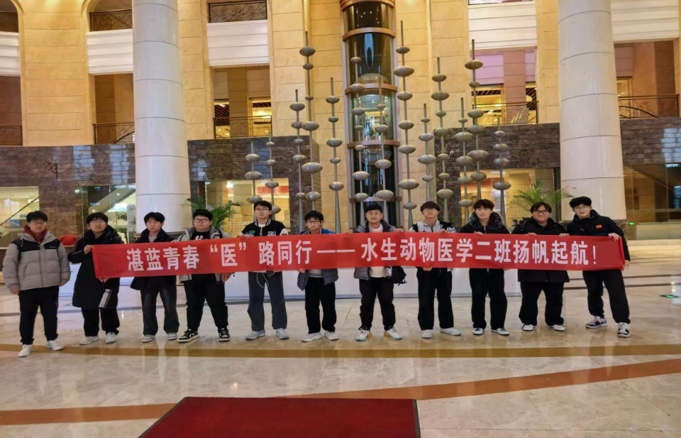 ylzz总站线路检测